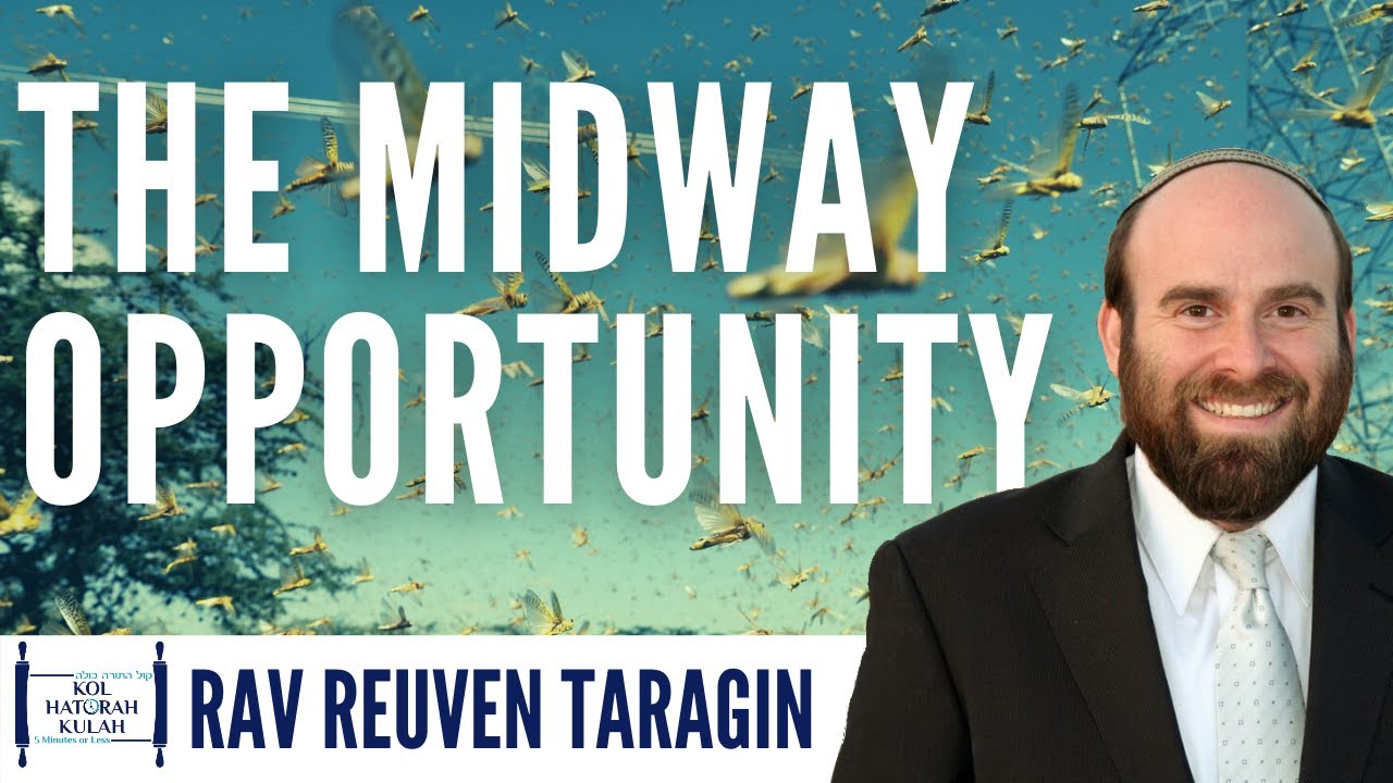 The Midway Opportunity - Rabbi Reuven Taragin | Parshas Bo