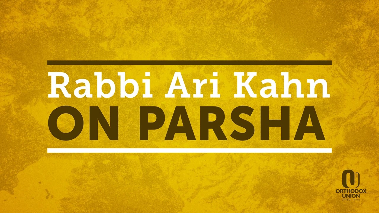 Parshat Matot-Masei: Cousins by Rabbi Ari Kahn