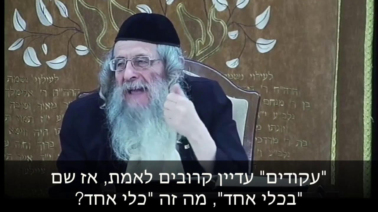 בריאת העולמות ועניני - אדם קדמון חלק ב הרב מנדל ווכטר שנת תש"פ