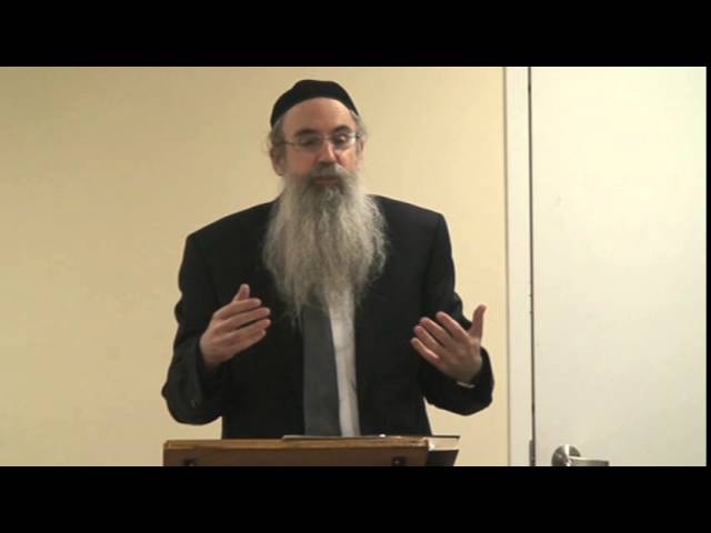 TORAH BASED CHINUCH for ALL children by Rabbi Avrohom Ehrman