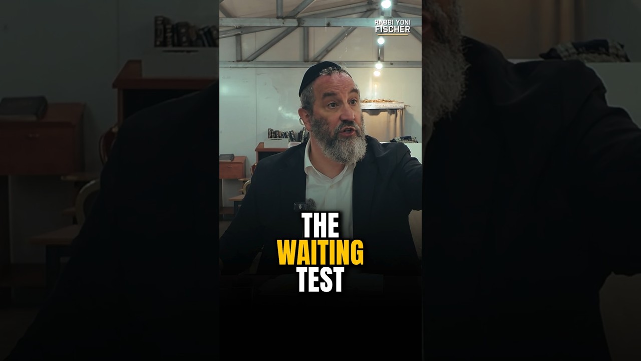 The Microwave Generation | The Waiting Test