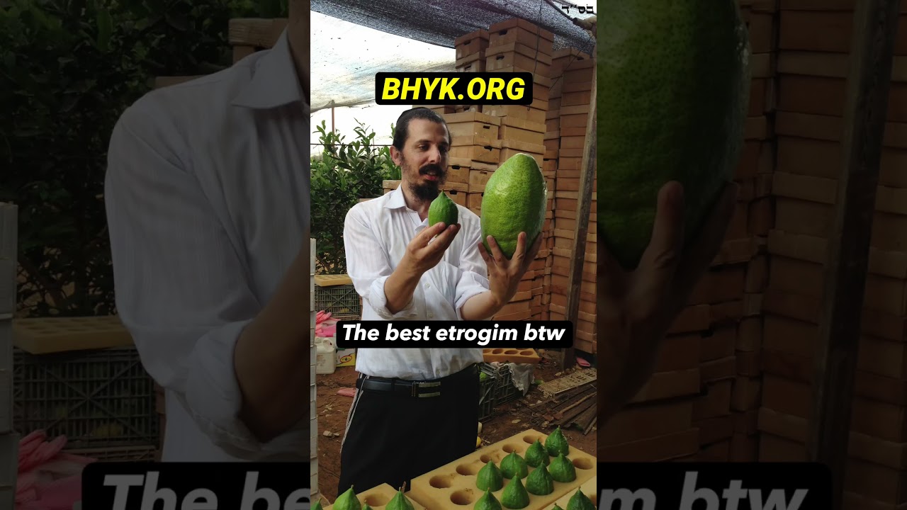When HaShem Likes Your Mitzvah #Torah #RabbiYaronReuven #Sukkot #Judaism #Mitzvah #OrthodoxJudaism