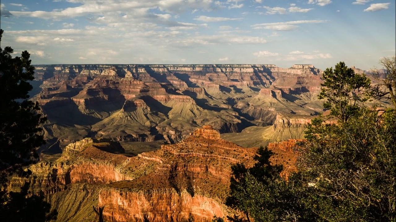Rejuvenation: From the Hills of Judea to the Valley of the Sun