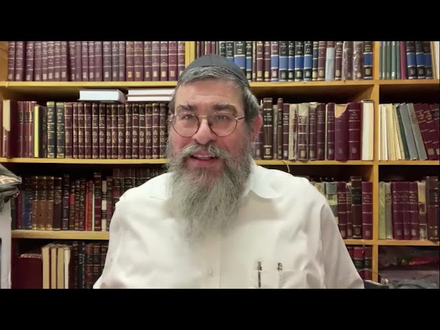 Ma’amar D"H Breishis 5735, Rabbi Yossi Paltiel, 5783