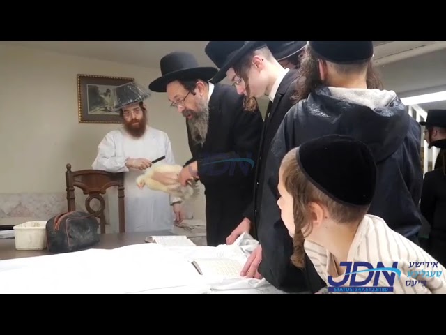 Toldos Yehuda Stitchin Rebbe Doing Kaporos Erev Yom Kippur 5784