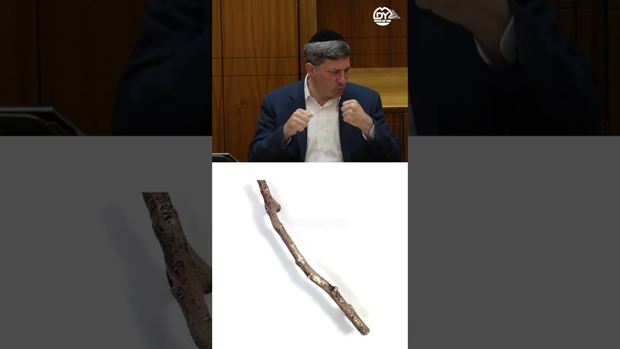 כשאנחנו מאוחדים - אי אפשר לשבור אותנו