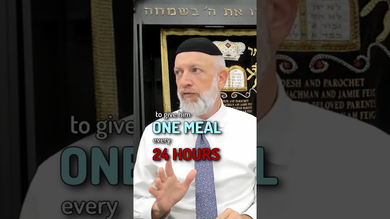ONE meal every 24 HOURS