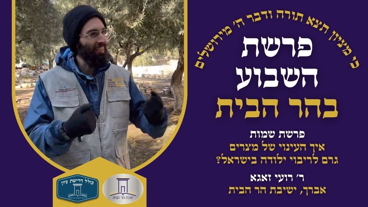 איך העינוי של מצרים גרם לריבוי ילודה בישראל? | פרשת שמות | הרב רועי זאגא