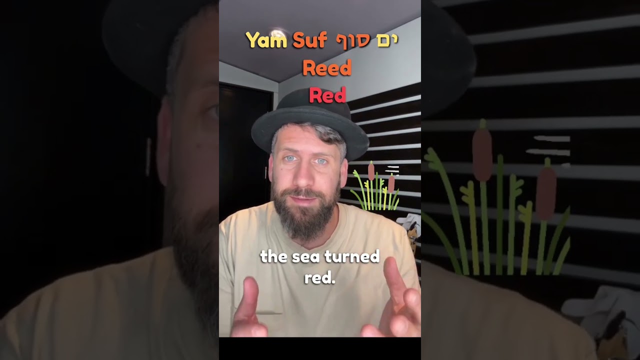 Red Sea? Translate error of the bible #bible #bibleverse #biblestudy #biblestudy #hebrew #holly