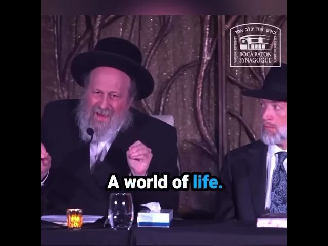 Rav Moshe Weinberger at BRS: IS IT CLEAR TO YOU?