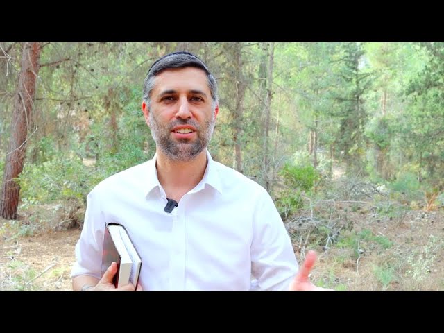 Bitachon 85 - Hashem's Kindness is Forever