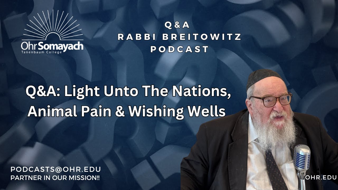 Q&A: Light Unto The Nations, Animal Pain & Wishing Wells (HaRav Yitzchak Breitowitz)