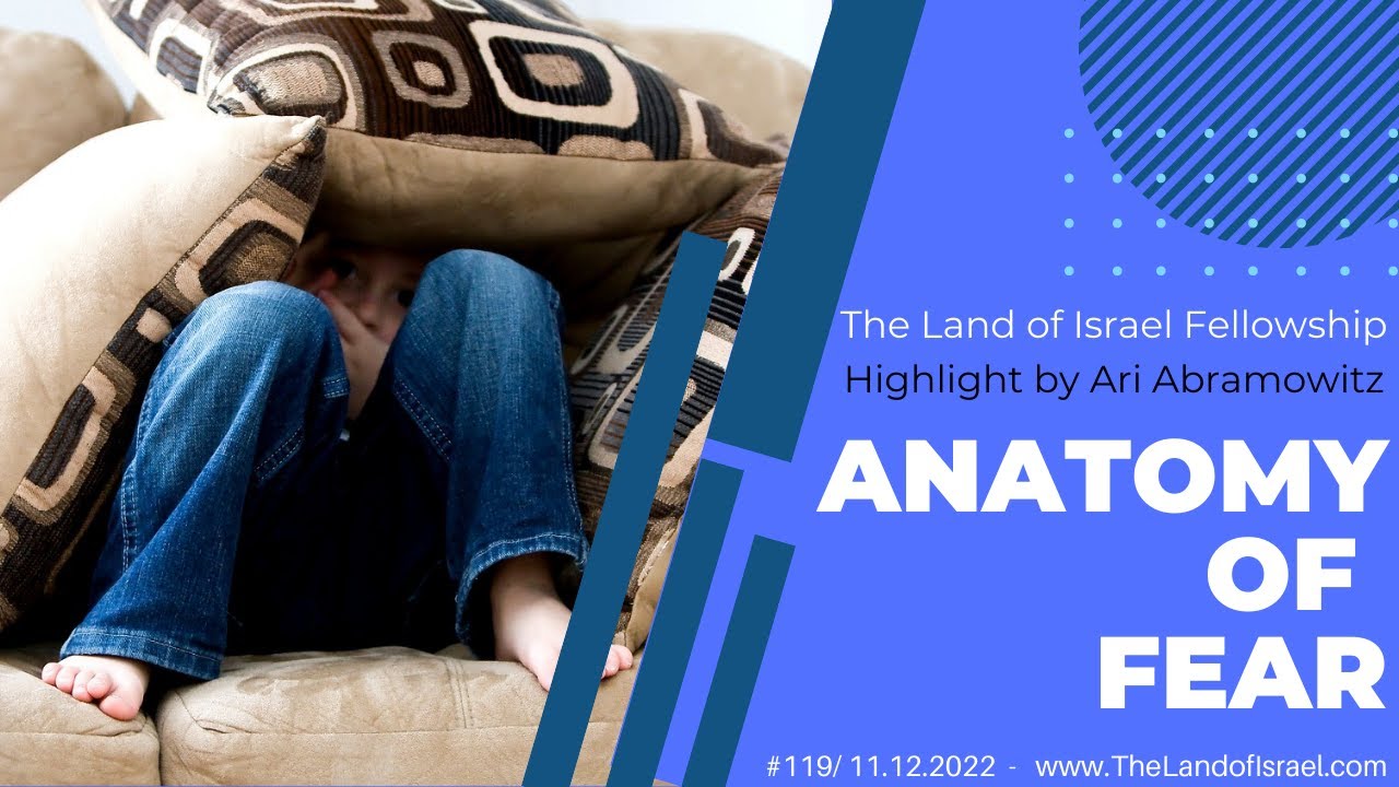Anatomy of Fear - Ari Abramowitz: The Land of Israel Fellowship