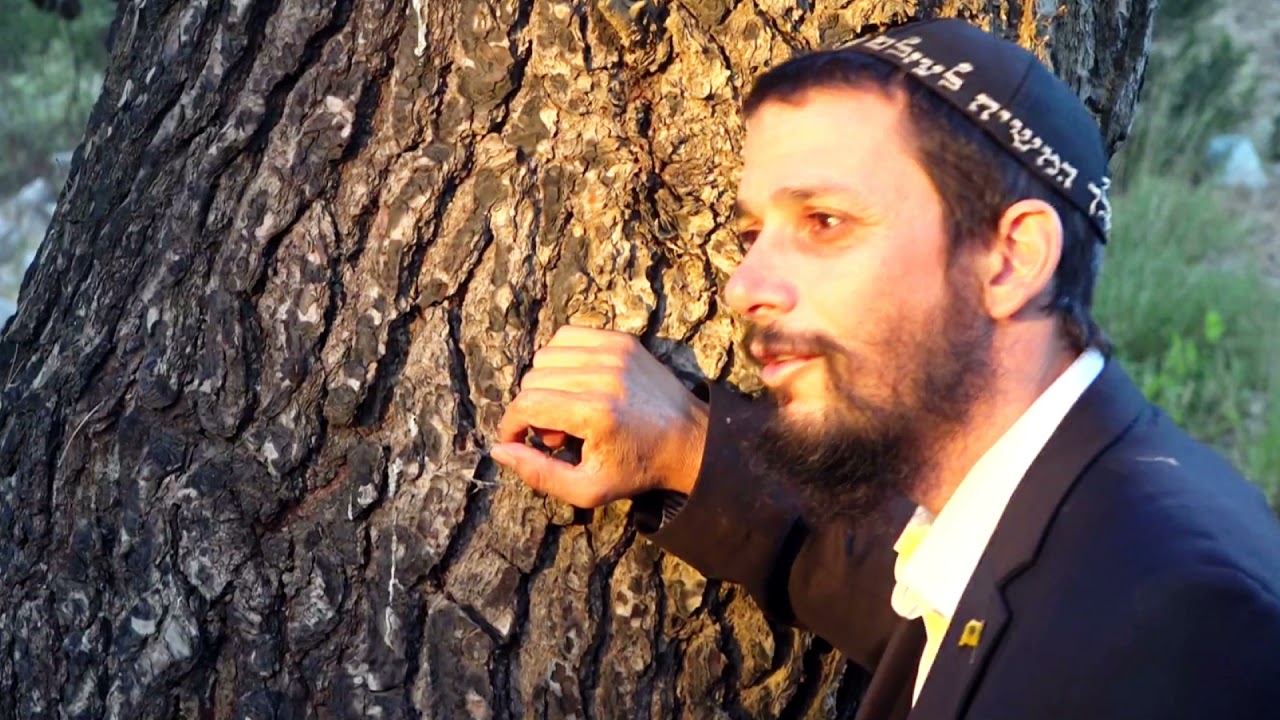שמעון אזולאי   לא לבד