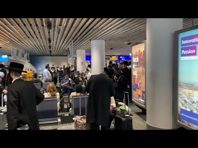 At the gate of Lufthansa 1334