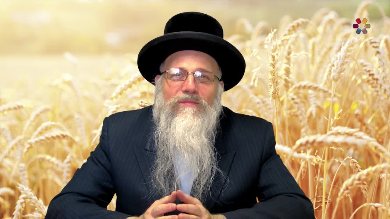 Rabbi Nachum Chaimowitz - Shavuot: Megillat Ruth - Potential of the Individual