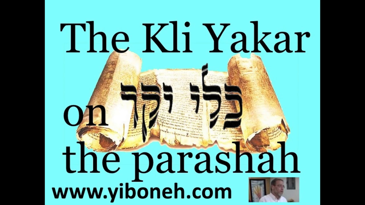 Shelach Weekly Torah Portion according to the Kli Yakar Numbers Chapter 15 verse 39