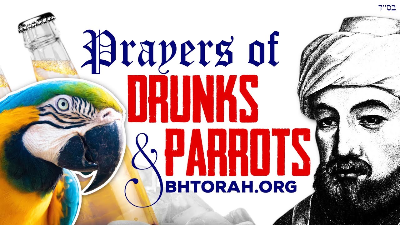 Rambam on Prayers of DRUNKS and PARROTS