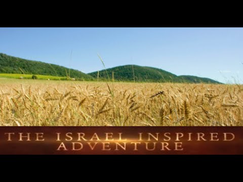 Shavuot- Living by the Code of Prophets