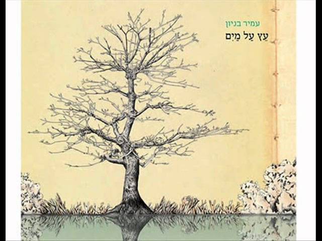 עמיר בניון מלך בשדה (תודה) Amir Benayoun