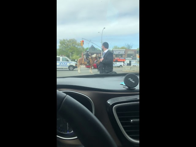 NYPD Officer Thrown Off Horse