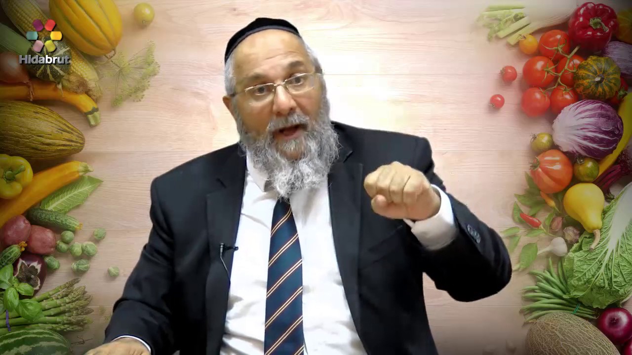 Meat & Milk: Waiting in Between - Rabbi Shlomo Cohen