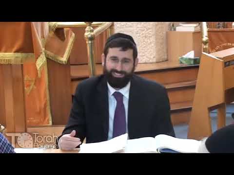 Shoftim: Tamim Tihiyeh - Genetic Testing and Gender Predetermination