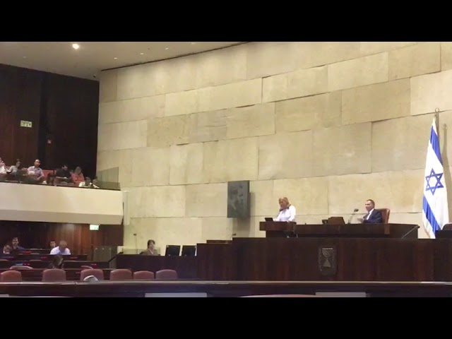 Machane Tzioni delegation in Knesset balcony waving Declaration of Independence