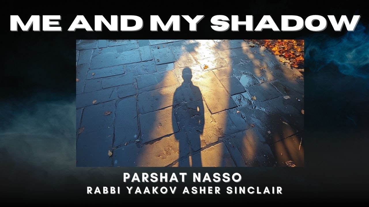 Me And My Shadow  - Parshat Nasso