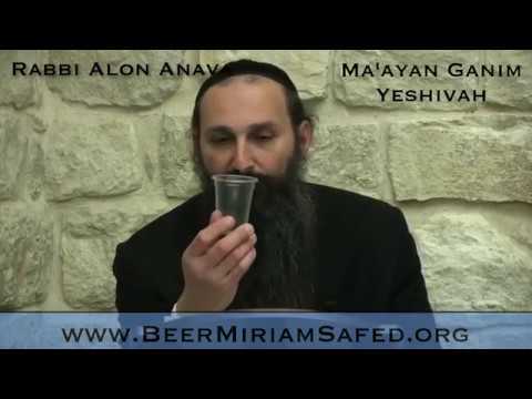 Zohar - Reincarnations and past lives - Part 12 - Rabbi Alon Anava