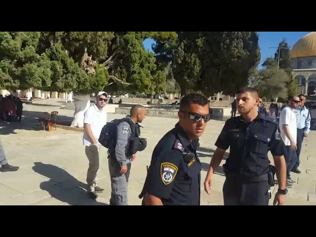 Few Arabs on the holy site as Jews visit Sunday morning
