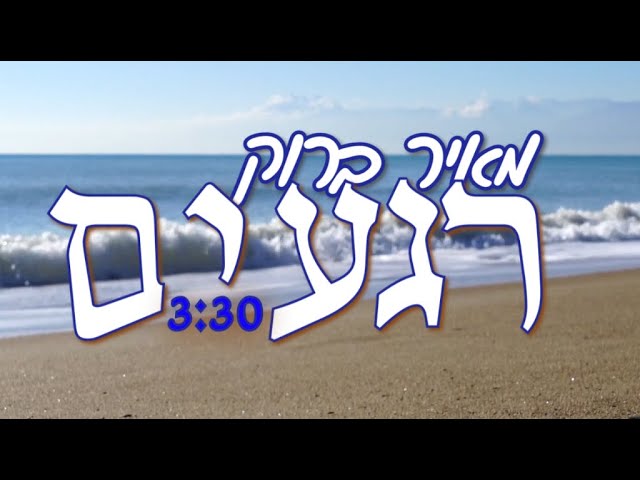 מאיר ברוק - רגעים.