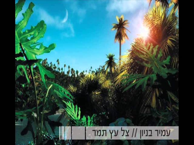 עמיר בניון צל עץ תמר Amir Benayoun