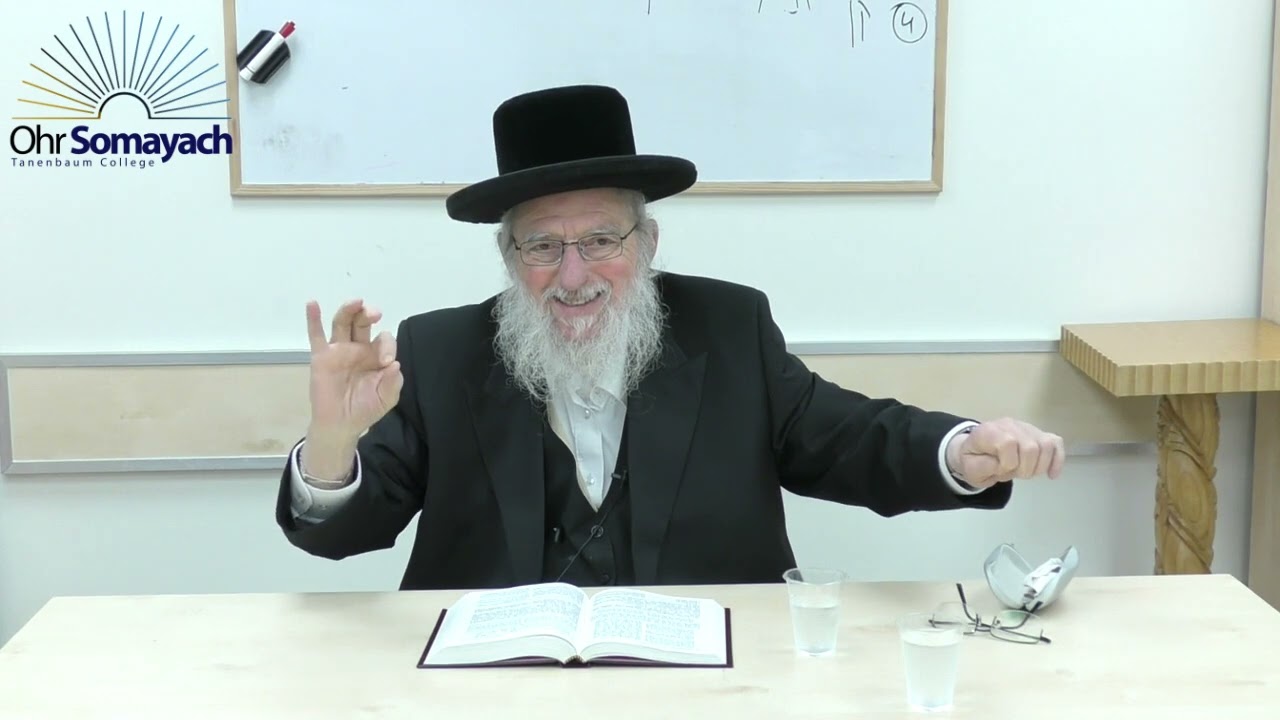 Rashi on Chumash Part 46   The Rape of Dinah (Rabbi Dovid Gottleib) (Jewish Philosophy)