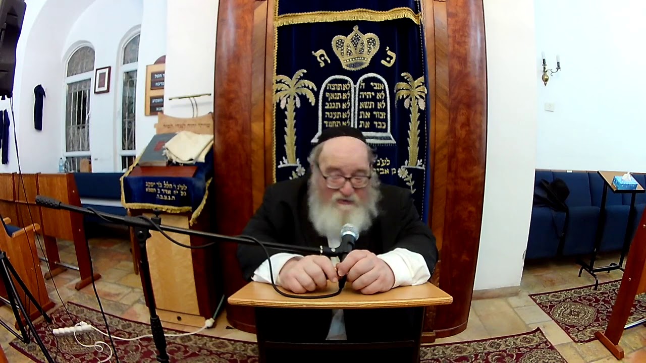 The Purity of the Soul - A beautiful woman captured in war - Rabbi Yitzchak Breitowitz