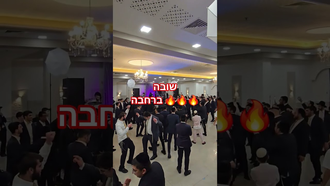 ה🎤שלוימי מאיר עם מאסטרו דוד חי על ה🎹 אנרגיות שיא🔥🔥🔥