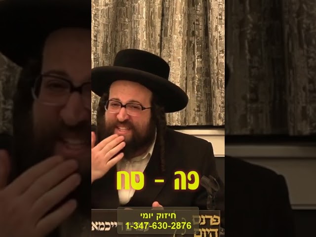 דעם רבינס טערעפי 2