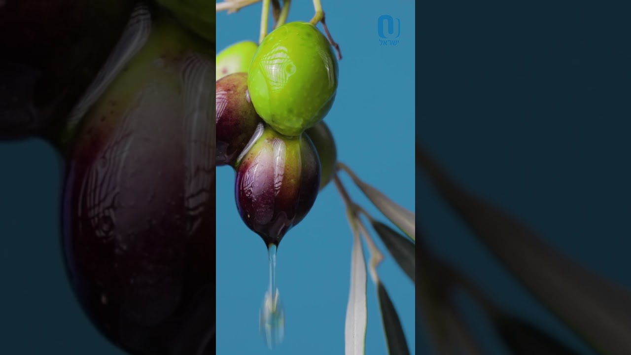 Succot & Chanukah | Rabbi Neil Winkler