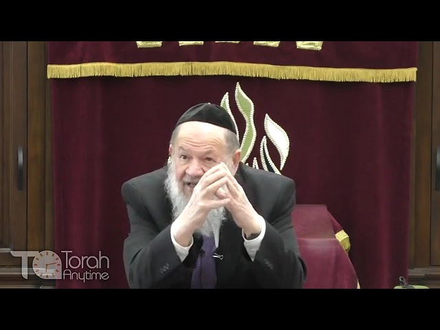 A Time of Unique Achdut - R. Avrohom Stulberger - TorahAnytime.com