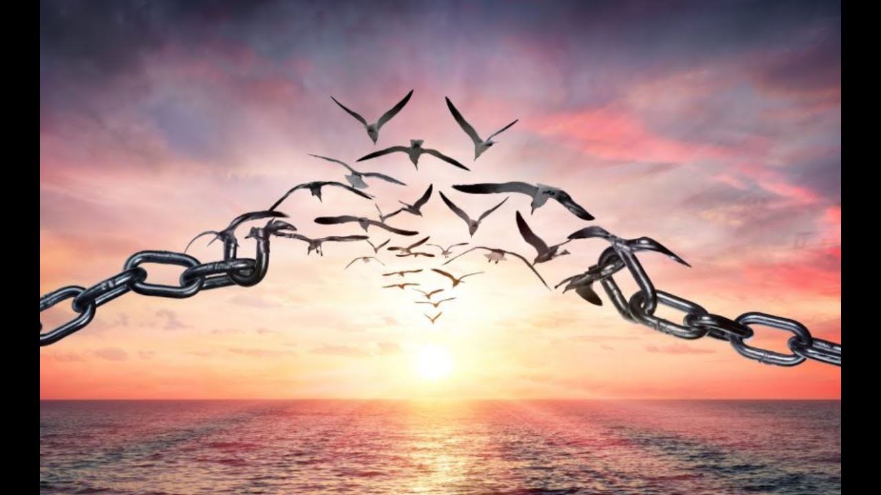 The Power Of Forgiveness