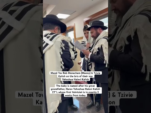Bris of Yehoshua Halevi Kalish in Israel