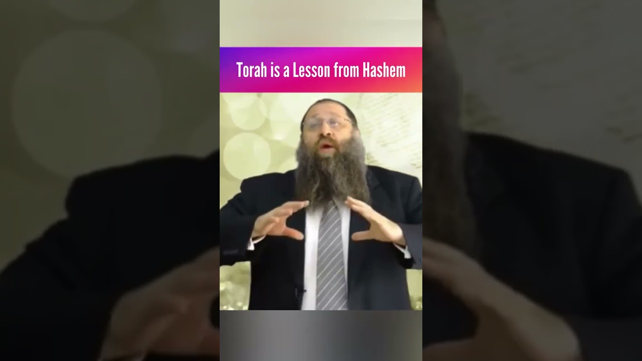 Torah is a Lesson from Hashem - Rabbi Yitchak Botton