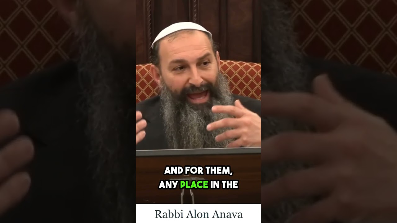 Can you truly believe that Islam is looking for peace? #israel #israelpalestineconflict #palestine