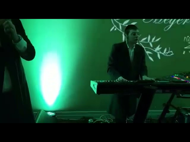 Going Wild : Shauly Waldner and Chesky Shwartz
