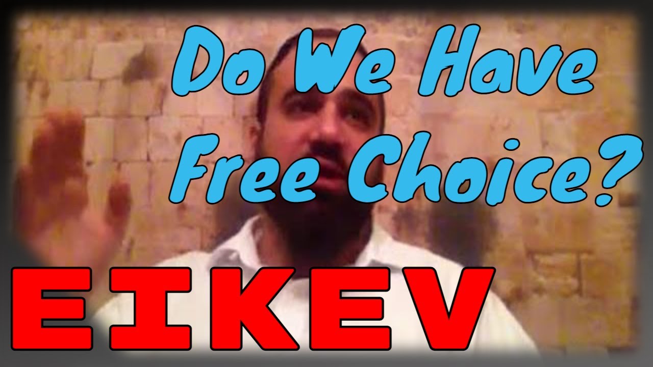 Parashat Eikev: Details of Punishment vs Reward, Do we Have Free Choice?