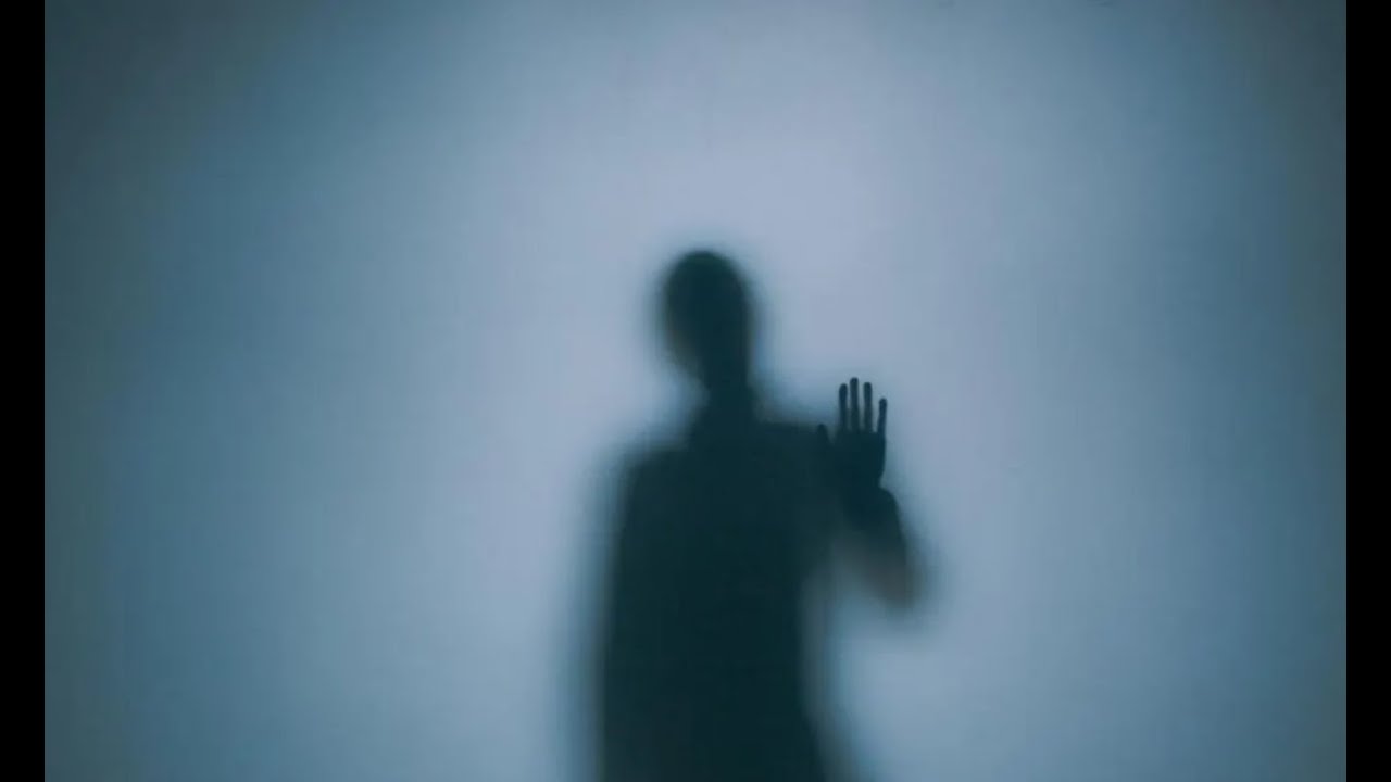 Me And My Shadow - Parshat Nasso