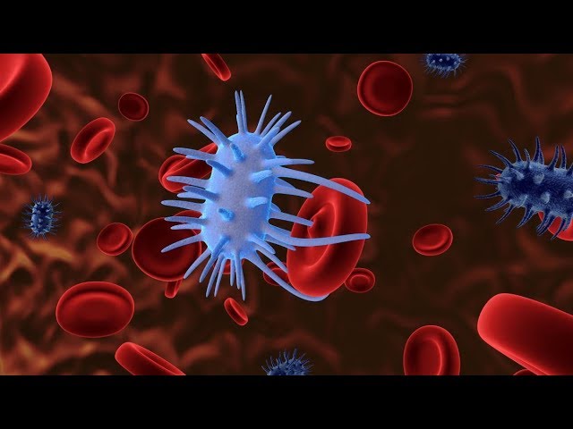 Coronavirus: Rabbi Jacobson Responds to Children's Questions - Special Children's Program #2b