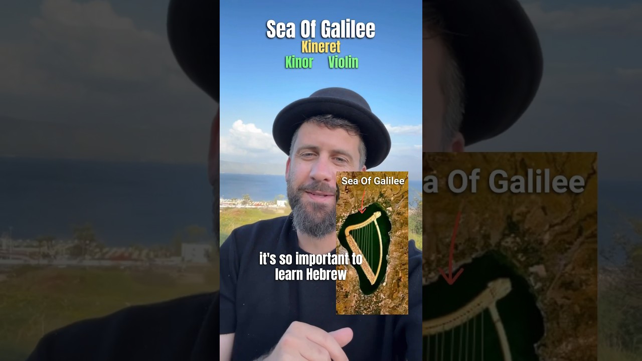 What is the meaning of the word “Kineret” ( Sea Of Galilee) 🎻