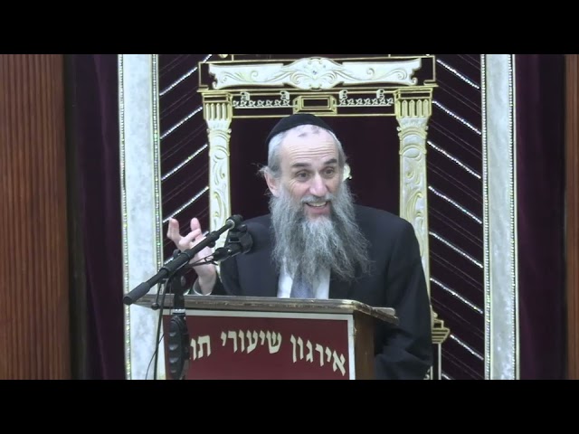 Tircha DeTzibura During Krias Hatorah - Rabbi Yakov Zev Smith