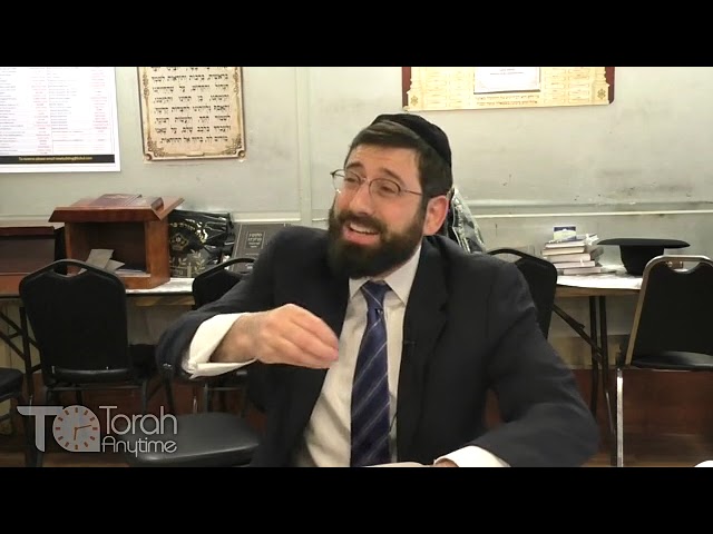 Lomdus Of Pesach Sheini: The Incredible Machlokes Minchas Chinuch and Rav Shach How To Read Rashi